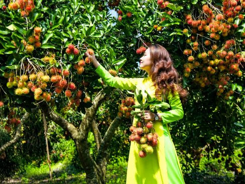 Tour Vườn Trái Cây Long Khánh | Phan Thiết | Trái Ngọt Miệt Vườn - Biển Gọi Mùa Hè