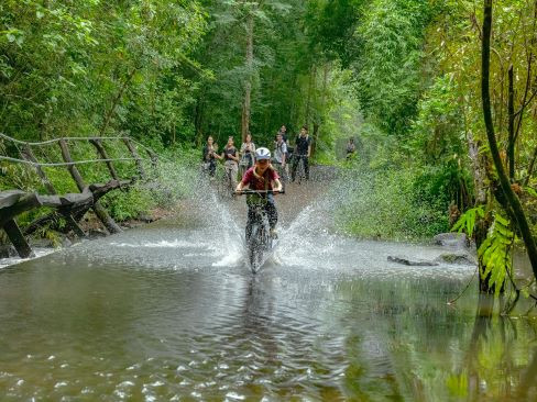 Tour Khám Rừng Nam Cát Tiên | Nghỉ Dưỡng Resort Orchard