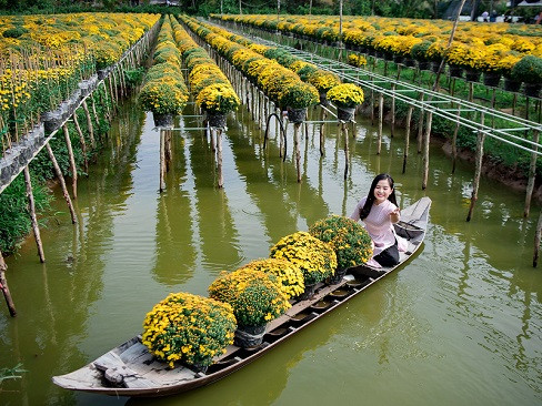 Tour Làng Hoa Sa Đéc | Vườn Quýt Hồng Lai Vung | Cần Thơ 