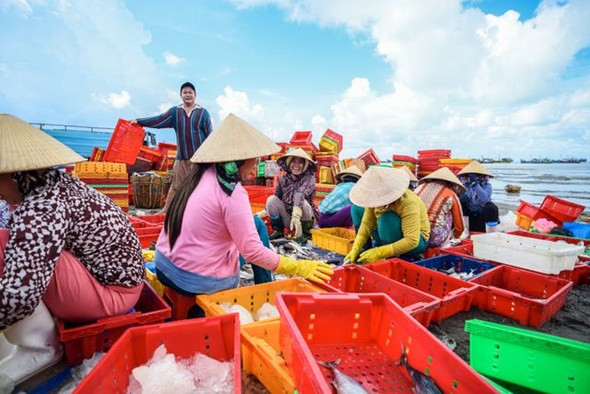 Lạc lối tại những khu chợ hải sản nổi tiếng của Vũng Tàu - ảnh 4