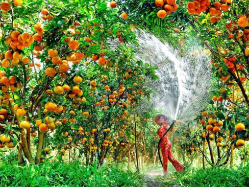 Tour Hà Nội | Cần Thơ | Miền Tây | Mỹ Tho | Tây Ninh | Sài Gòn 