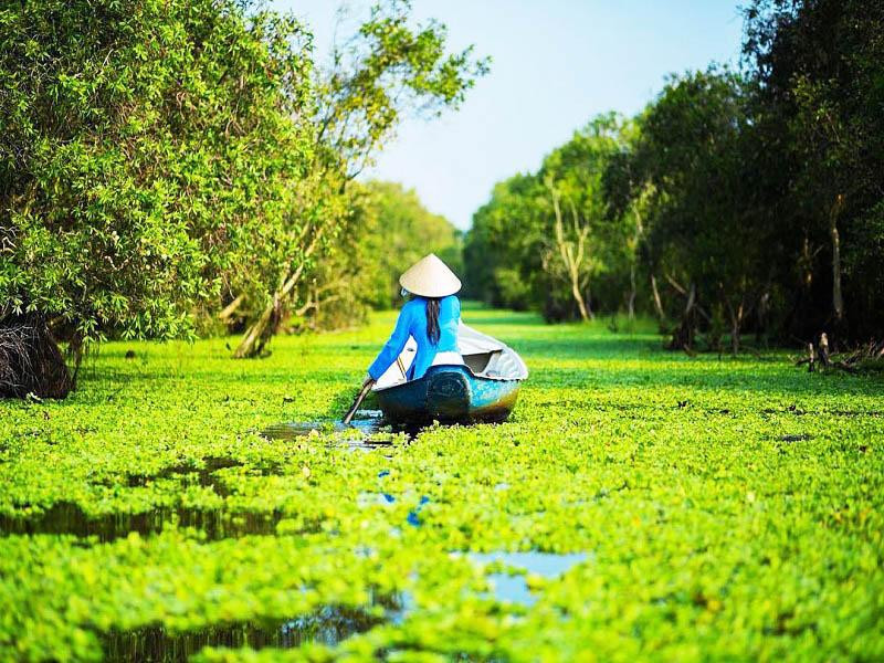 Rừng tràm Trà Sư thuộc tỉnh An Giang là một trong những điểm tham quan được đông đảo tín đồ du lịch miền Tây yêu thích.