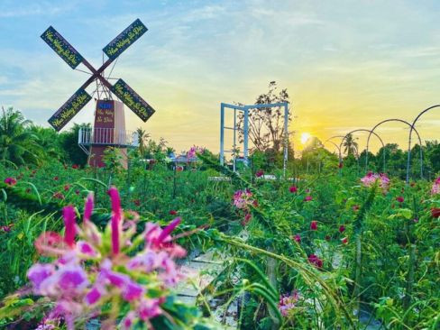 TOUR ĐỒNG THÁP | CHECK IN VƯỜN TRÁI CÂY SINH THÁI MIỆT VƯỜN