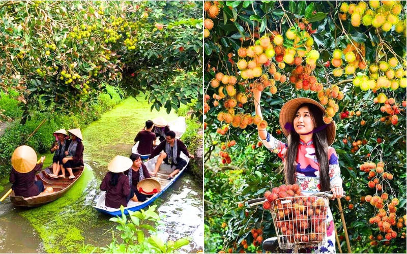 Thưởng thức trái cây theo mùa ngay tại nhà vườn 