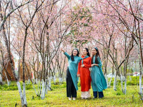 Tour Tết 2026 Măng Đen | Pleiku | Buôn Ma Thuột 4N4Đ