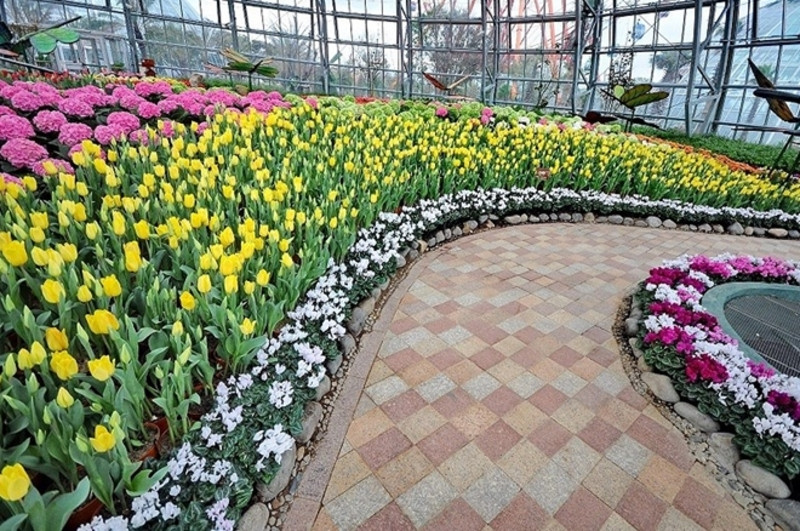 Lễ hội hoa tulip tại đồi Vạn Hoa