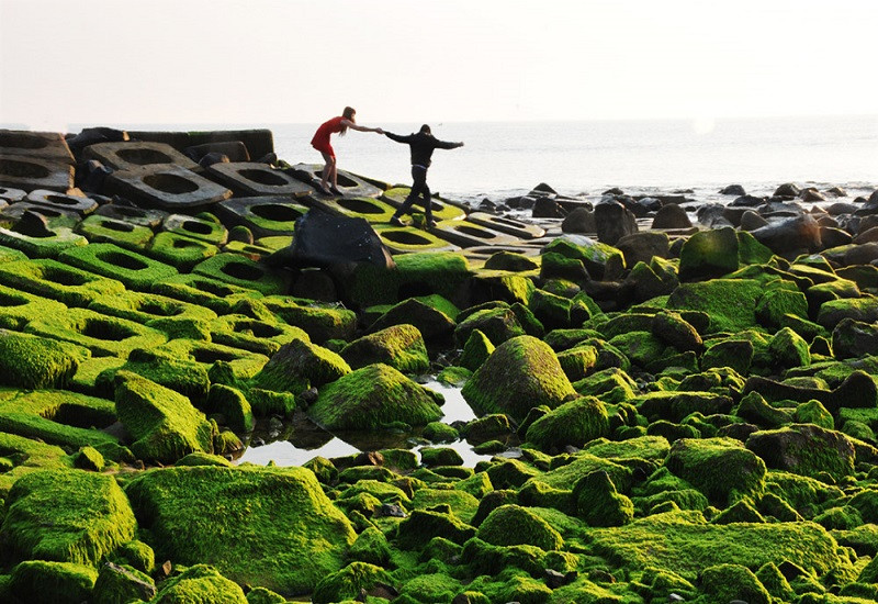 Du lịch Phú Yên, hấp dẫn hơn với bờ kè rêu xanh Xóm Rớ - ảnh 2
