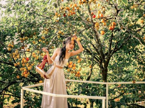Tour Đà Lạt | Săn Mây 3N3Đ | Langbiang Land | Tiệc BBQ