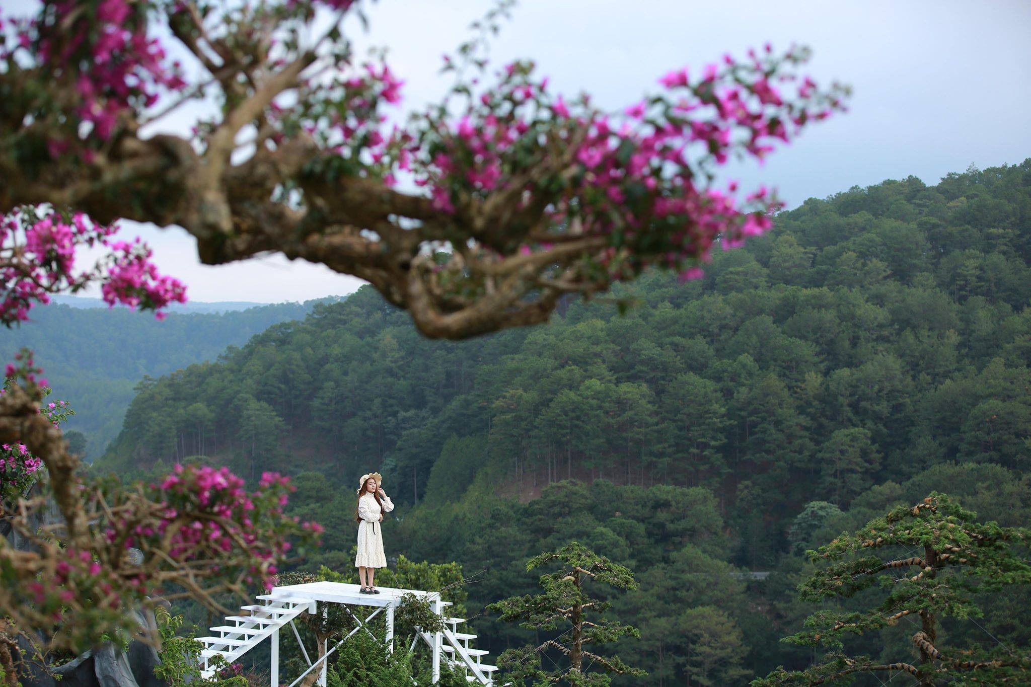 Que Garden Đà Lạt, cây cầu thang trắng muốt dắt khách lên một khoảng không tự do