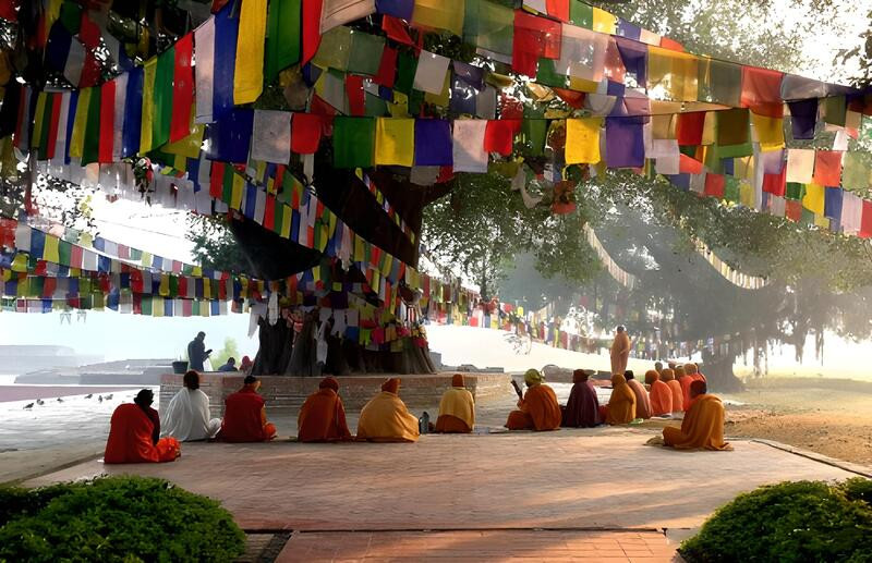 Không gian thanh tịnh phù hợp để ngồi thiền