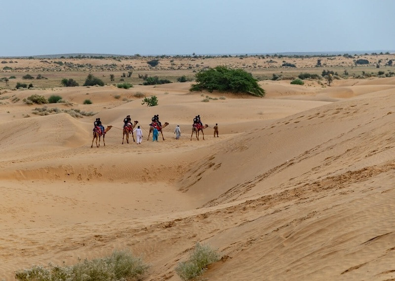 Sa mạc Rajasthan sau mùa mưa Ấn Độ