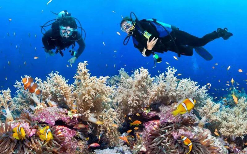 Lặn ngắm san hô tại Nusa Penida