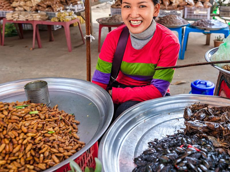 Kinh nghiệm đi chợ côn trùng cần lưu ý 