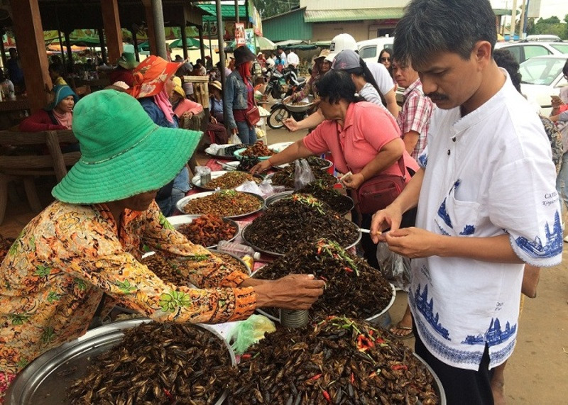 Chợ côn trùng