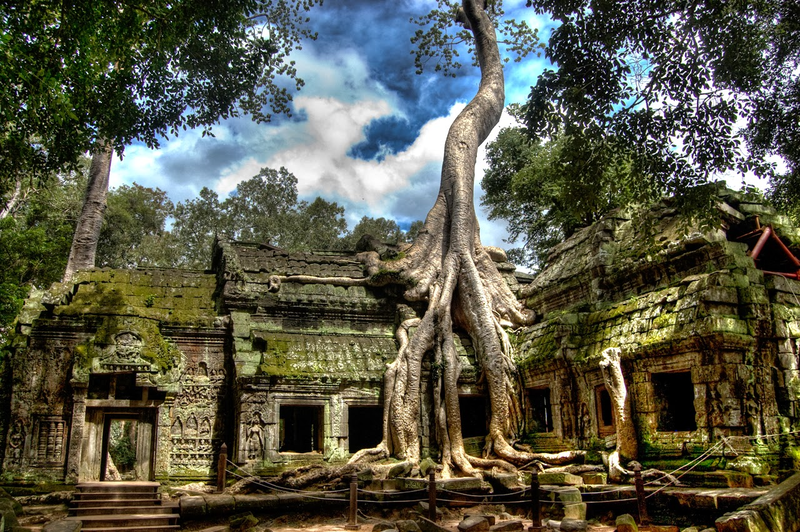 Đền Ta Prohm tại Campuchia