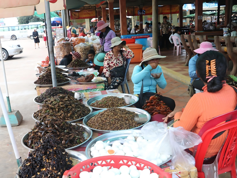 Khu chợ ẩm thực côn trùng 