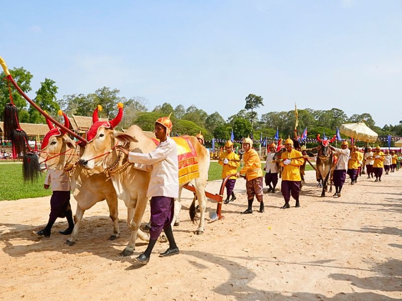 Lễ cầm cày Hoàng Gia