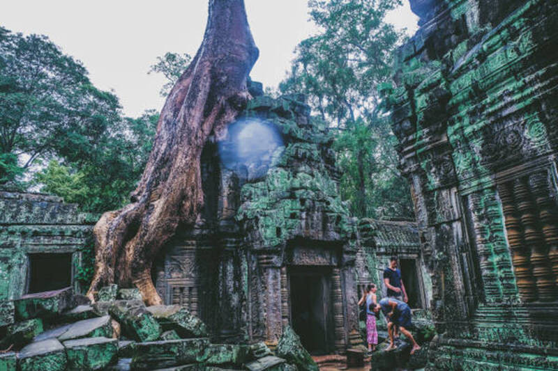 Những rể cây ăn sâu ở đền Ta Prohm