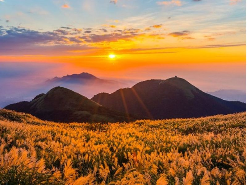 Công viên Dương Minh Sơn rực rỡ vào mùa thu