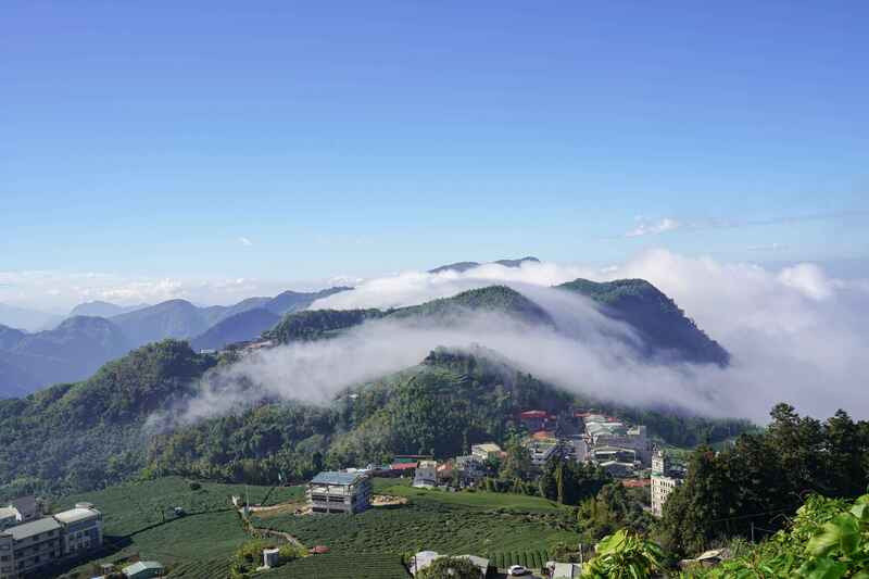 Núi Alishan với rừng thông cổ thụ ngập trong sương mây