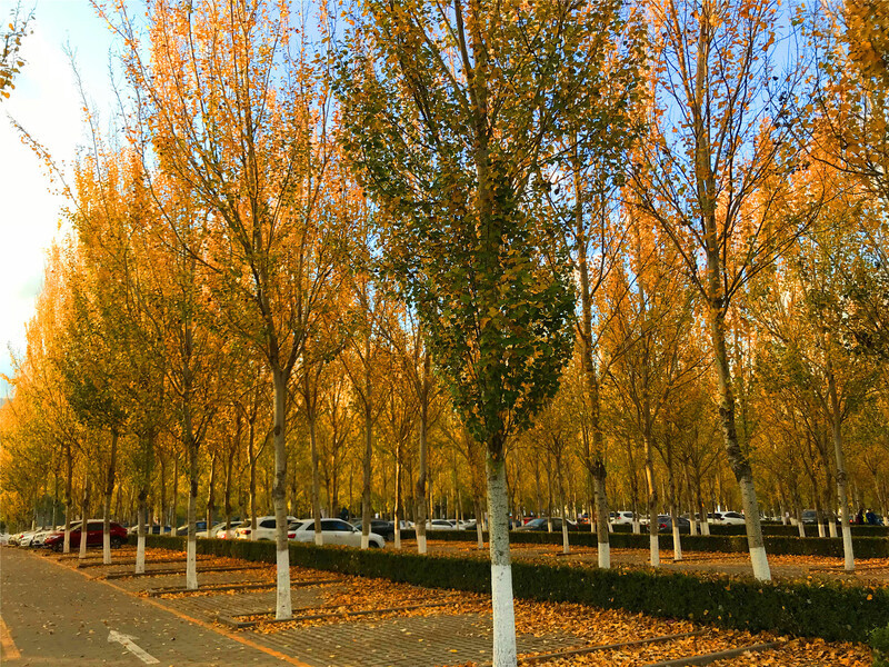 Công viên quốc gia Dương Minh Sơn Công viên quốc gia Dương Minh Sơn