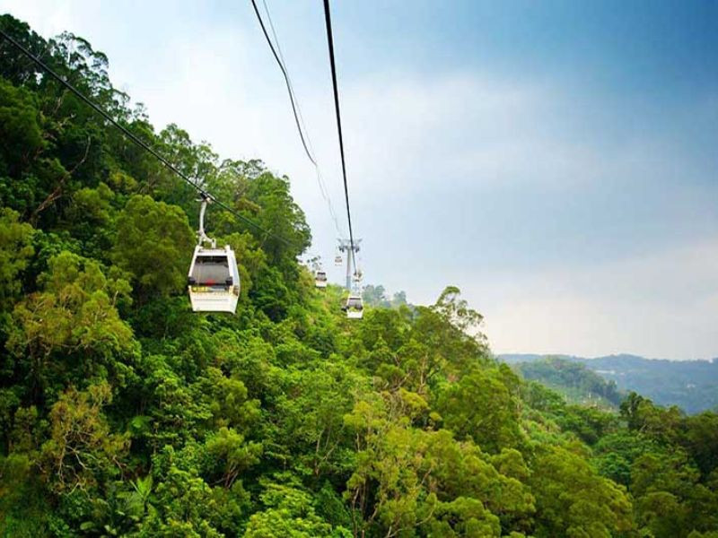 Đi cáp treo núi Maokong để thưởng ngoạn trọn vẹn vẻ đẹp mùa thu