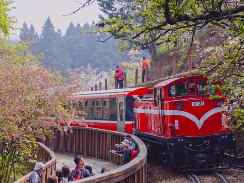 Đi tàu lên núi khám phá Alishan