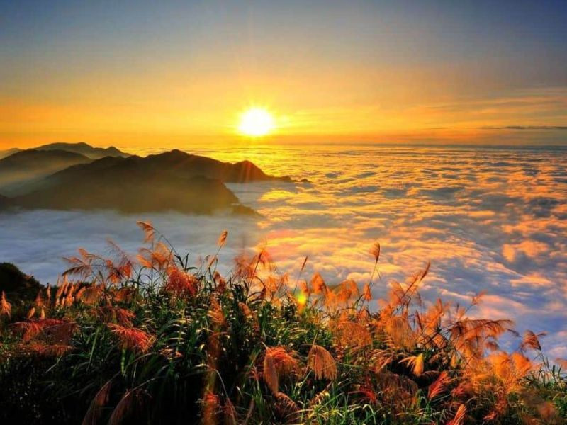 Ngắm bình minh trên đỉnh Alishan tuyệt đẹp