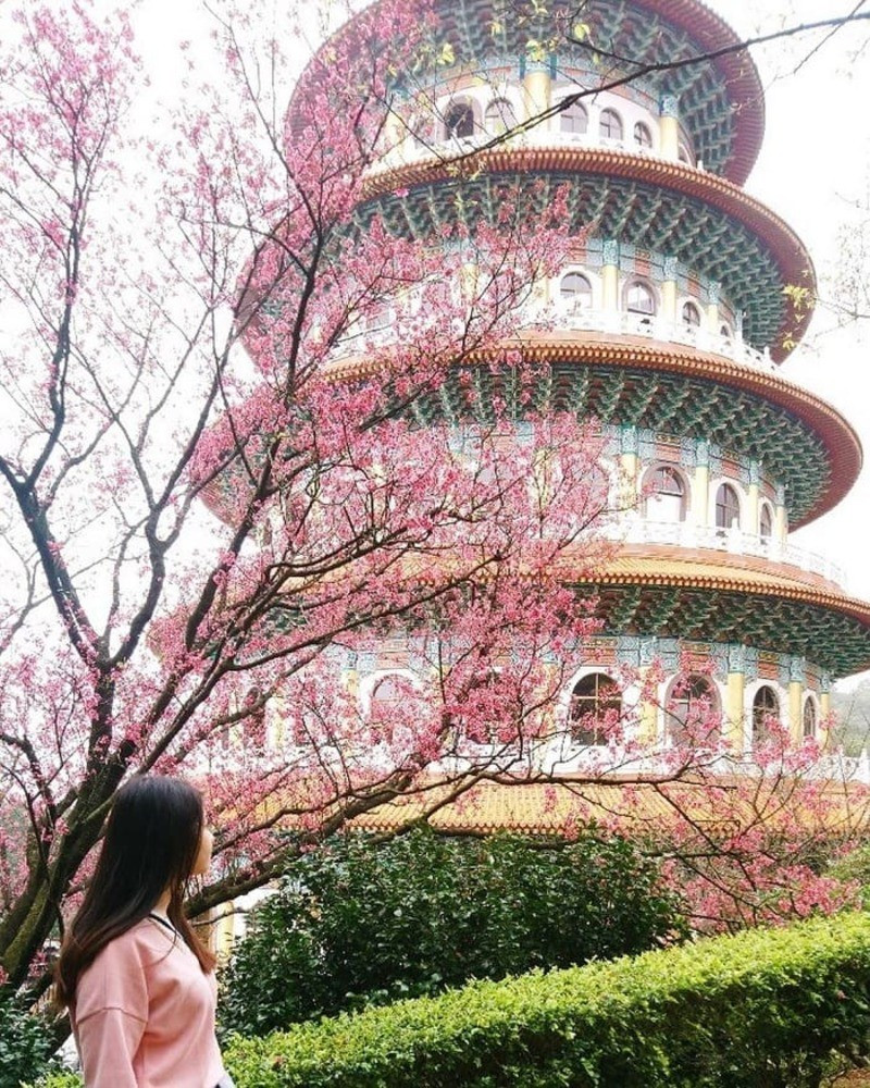 Sắc hồng nhạt bao quanh kiến trúc đền đài cổ kính