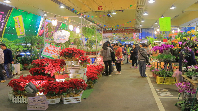 Lễ hội hoa Jianguo