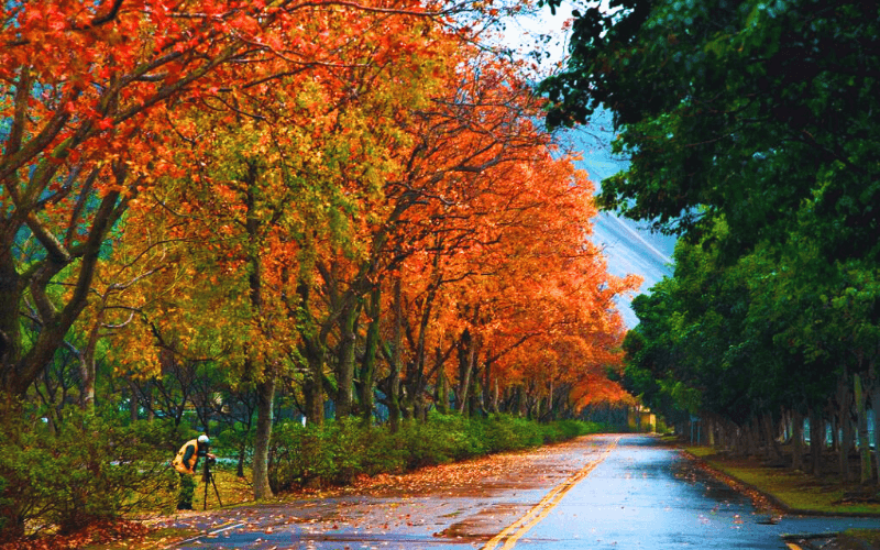 Lối vào Shihmen