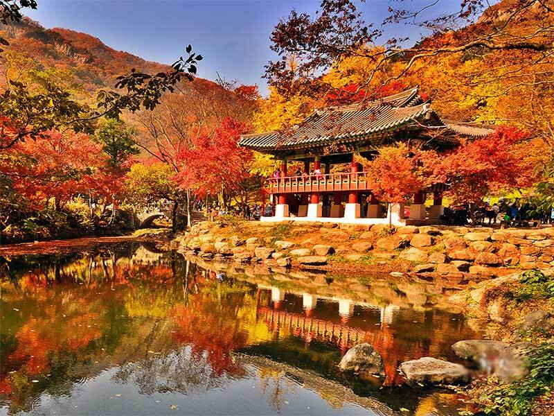 Ngắm lá mùa thu đẹp ở Đài Loan 