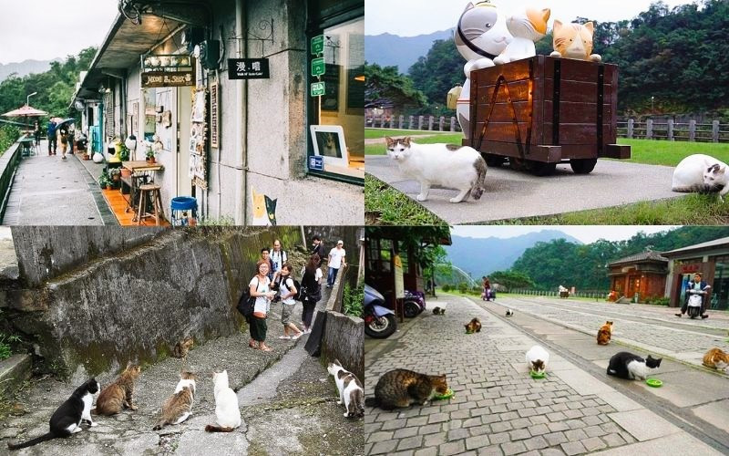 Ngắm những “dân làng” bốn chân tại Hutong 