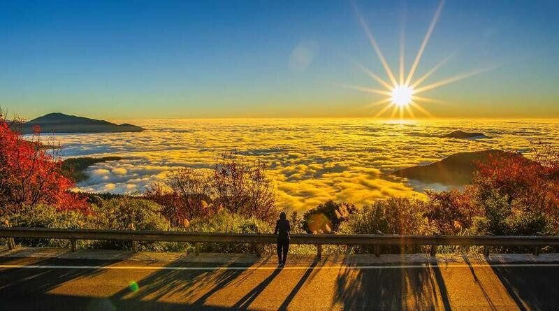 Alishan - Nơi lý tưởng để tận hưởng thiên nhiên mùa thu 