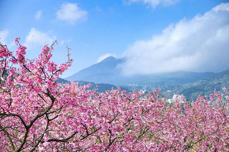 Tổng quan thời tiết Đài Loan tháng 4