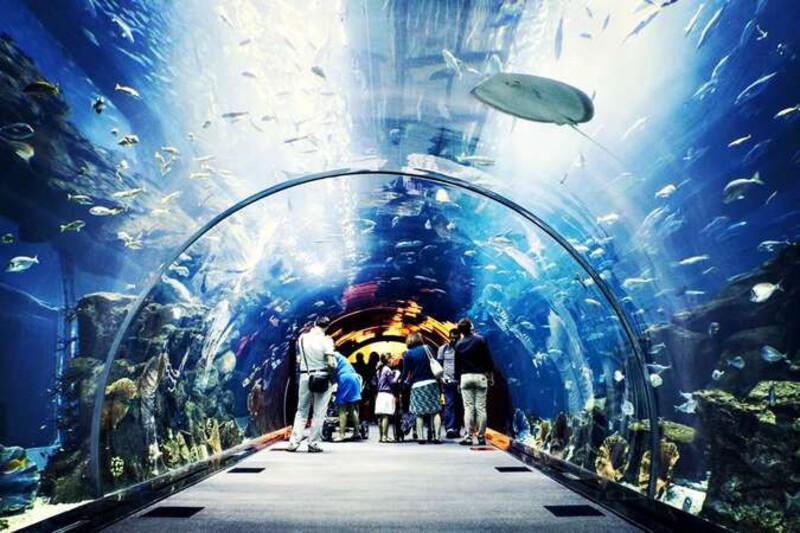 Thủy cung Dubai Aquarium