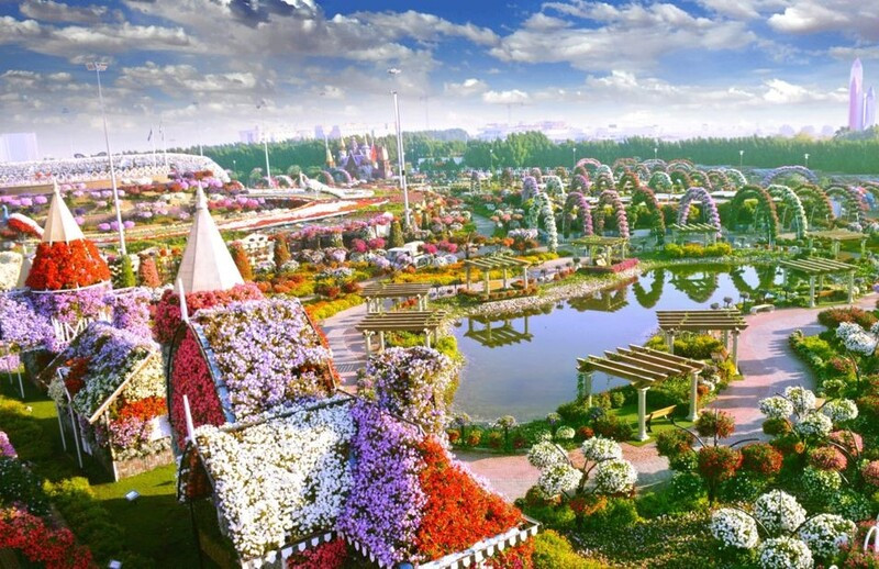 Vườn hoa Miracle Garden