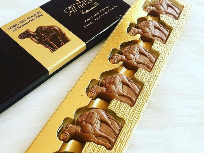 Socola sữa lạc đà - món quà đặc biệt khi đi du lịch Dubai