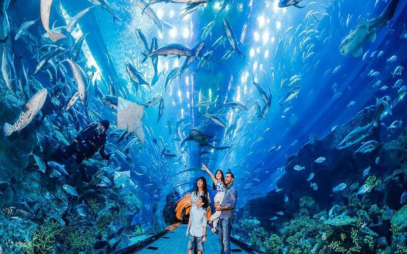 Trải nghiệm thế giới nước tuyệt đỉnh ngay tại trung tâm Dubai