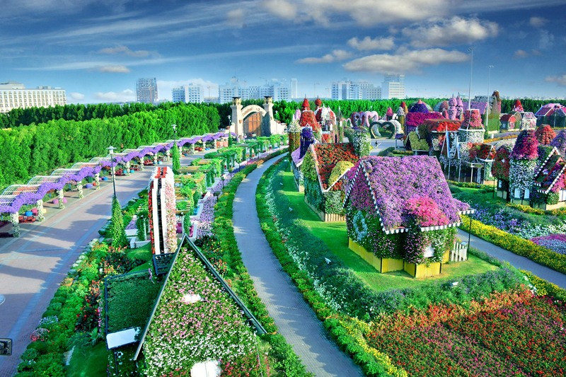 Vườn hoa Miracle Garden ở Dubai