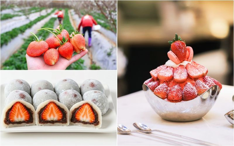 Thưởng thức các món ăn làm từ dâu tây