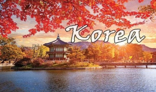 Giá tour du lịch Hàn Quốc năm 2022 như thế nào? 