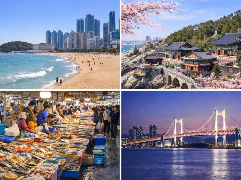 Busan, thành phố cảng sôi động của Hàn Quốc