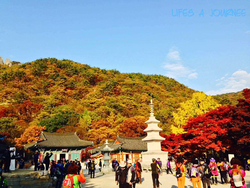 Du lịch Hàn Quốc mùa lá đỏ -  Đảo Jeju