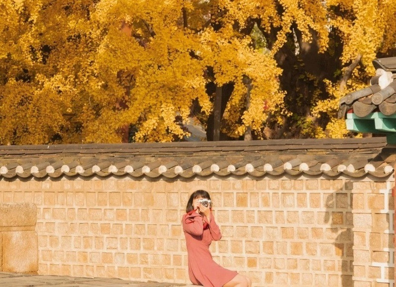 Seoul Hàn Quốc mùa thu (Ảnh sưu tầm)