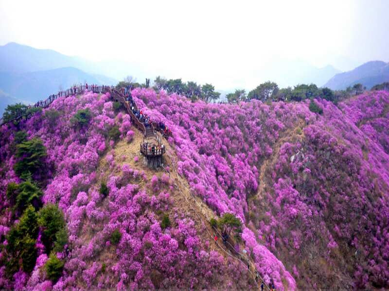 Núi Yeongchwi 