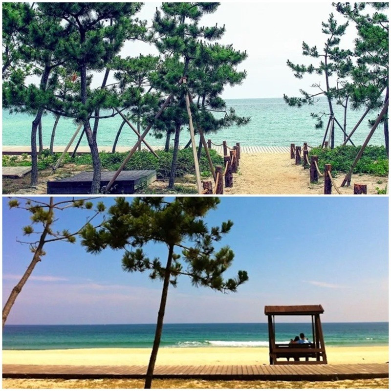 Bãi biển Gyeongpo đầy trữ tình ở xứ Hàn 