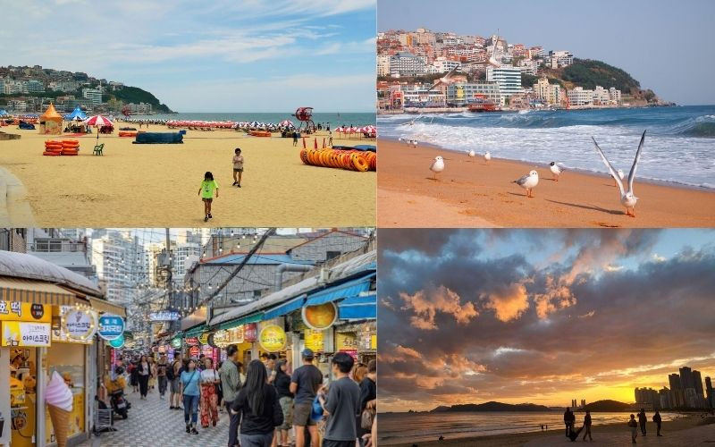 Đến Hàn Quốc để được trải nghiệm vẻ đẹp sôi động của bãi biển Haeundae Đến Hàn Quốc để được trải nghiệm vẻ đẹp sôi động của bãi biển Haeundae