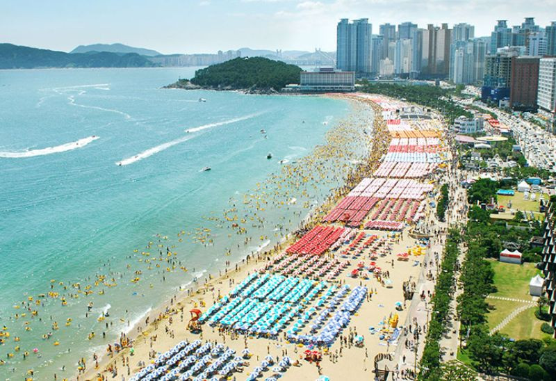 Thành phố biển Busan đẹp nhất vào mùa hè 