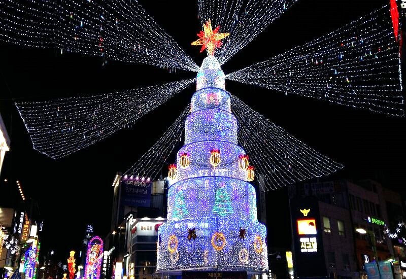 Busan rực sáng trong lễ hội cây thông Noel